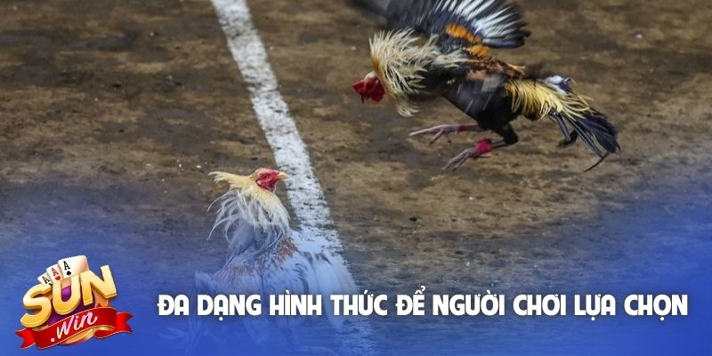 Đa dạng hình thức chọi để người chơi lựa chọn
