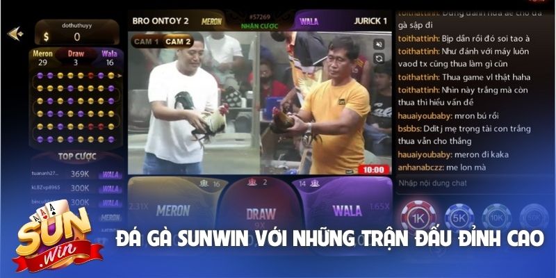 Đá gà Sunwin với những trận đấu đỉnh cao
