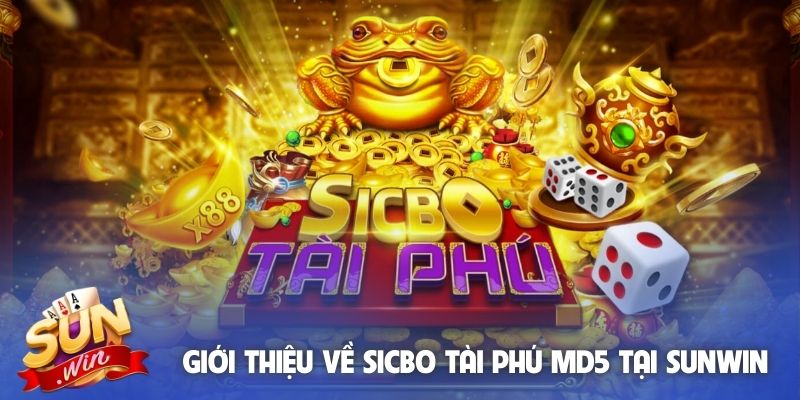 Giới thiệu về Sicbo Tài Phú MD5 tại Sunwin